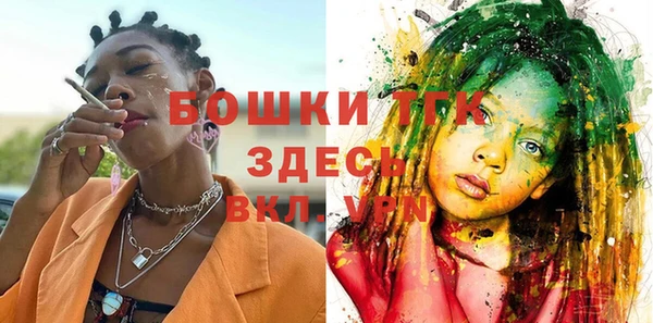 крисы Богородицк