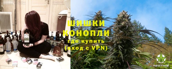 крисы Богородицк